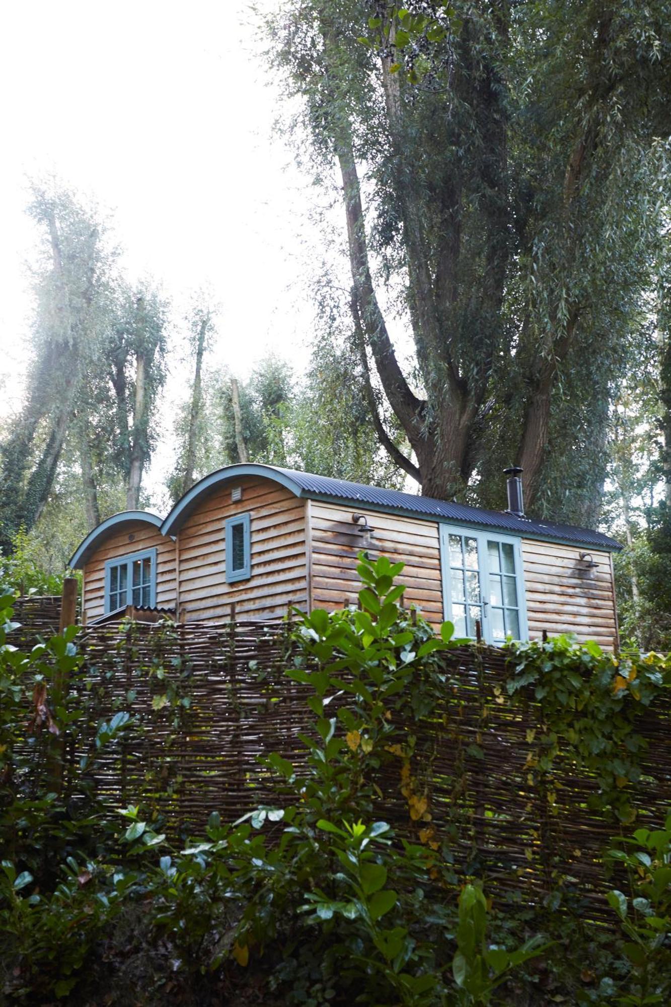 The Fish Hotel