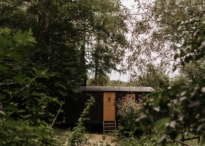 The Fish Hotel