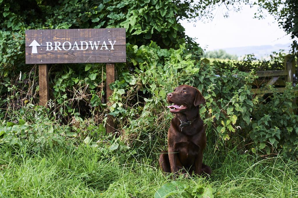The Fish Broadway (Worcestershire)